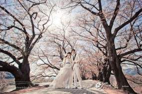 Safiya & Donald (日本 婚紗攝影．April 2014)